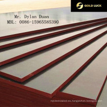 17mm Top Grade Film Faced Plywood